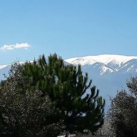 Olivia Tatil Evi Leptokarya (Pieria)