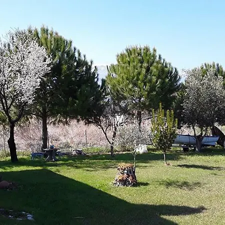 Olivia Tatil Evi *